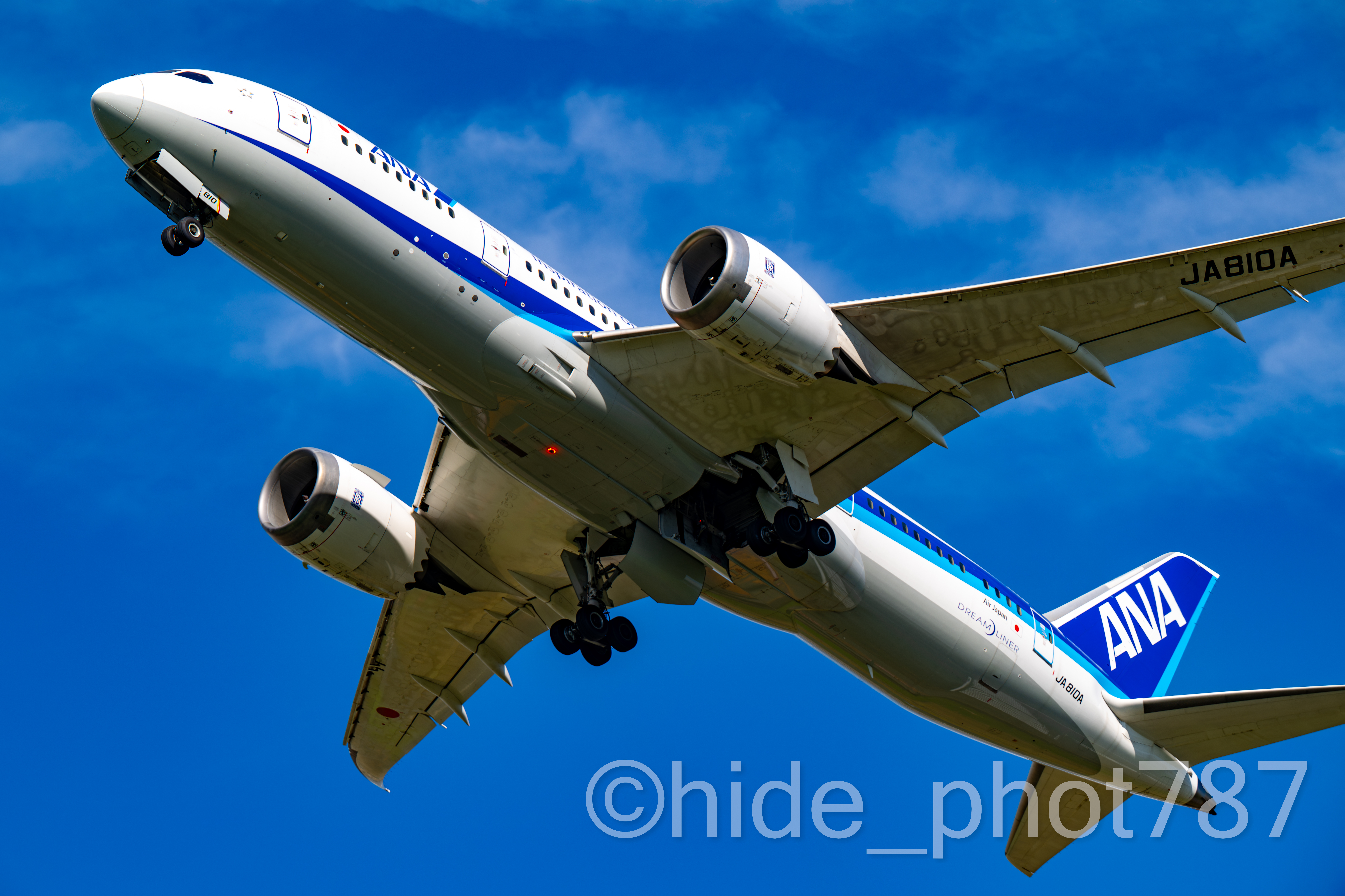 【TEST】ANA B787-8 JA810A